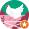 Ali M Avatar