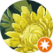 Maggie Dobson Avatar