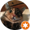 MDJ Avatar