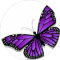 Nicole Walp Miller Avatar