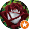 O Z Avatar