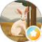Jackalope Avatar
