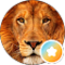 Kat Mac Avatar
