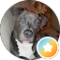 TUCKY Avatar