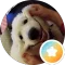 Tonya Marie Avatar